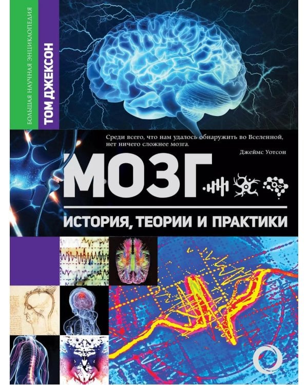 Мозг. История, теории и практики