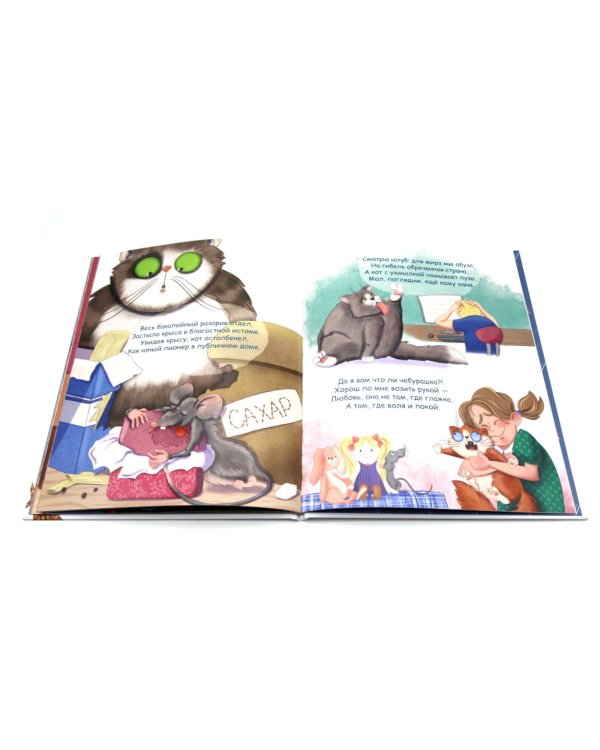 Кот и вот. Книга + раскраска (комплект из двух книг)