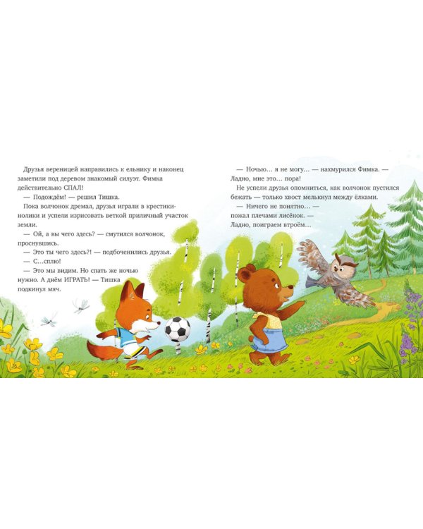 Дополнительное изображение книги «Волчонок Фимка и тайна темноты»