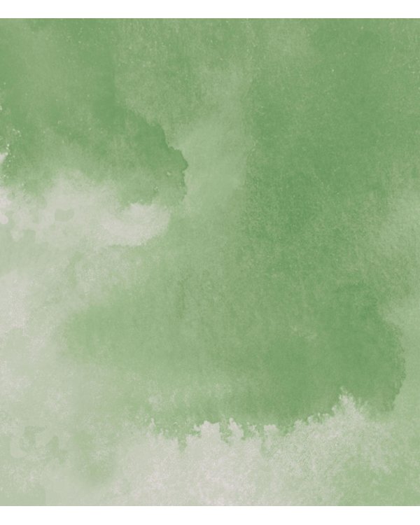 Всегда, Зоя! Альбом воспоминаний