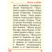 Святое Евангелие (с клапаном на магните, золот.тиснен., кожа)