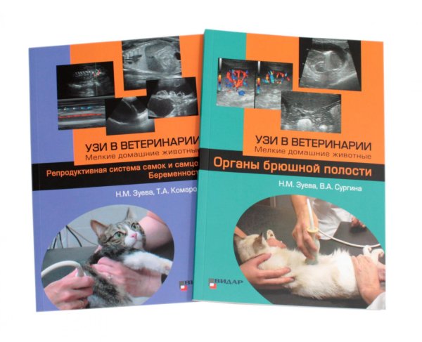 УЗИ в ветеринарии. Мелкие домашние животные. Органы брюшной полости; Репродуктивная система самок и самцов. Беременность (комплект из 2-х книг) УЗИ в ветеринарии. Мелкие домашние животные. Органы брюшной полости; Репродуктивная система самок и самцов. Беременность (комплект из 2-х книг)