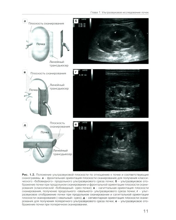 УЗИ в ветеринарии. Мелкие домашние животные. Органы брюшной полости; Репродуктивная система самок и самцов. Беременность (комплект из 2-х книг)