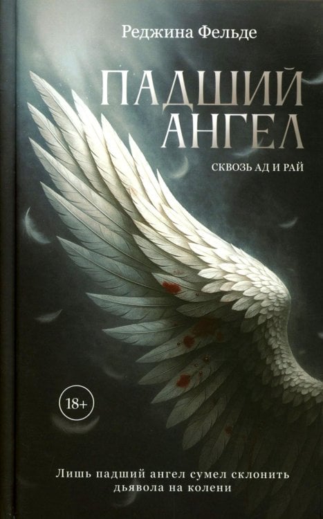 Падший ангел. Кн. 1 Сквозь ад и рай