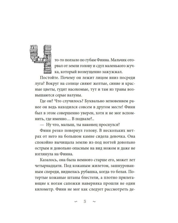Волшебная библиотека Книггсов. Кн. 2. Проклятый медальон