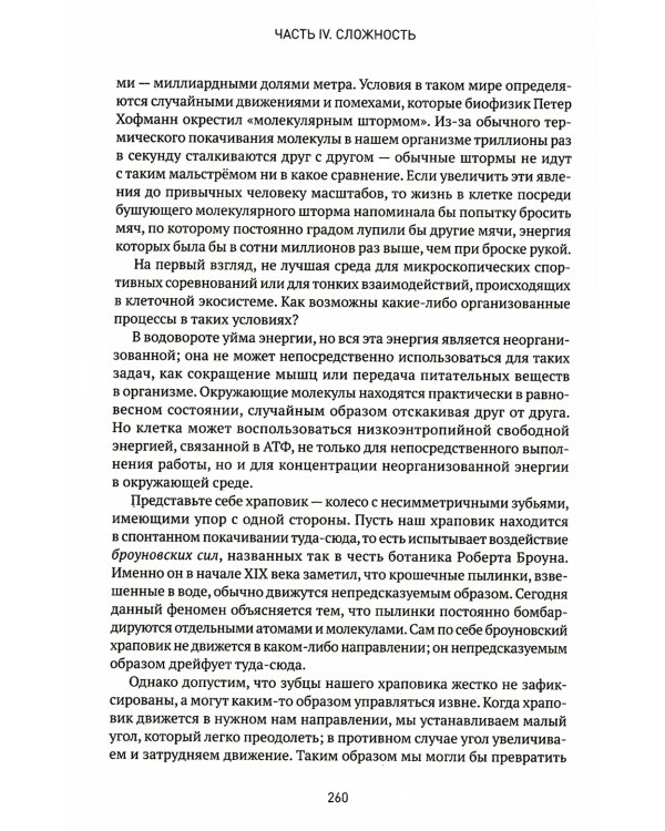 Вселенная. Происхождение жизни, смысл нашего существования и огромный космос