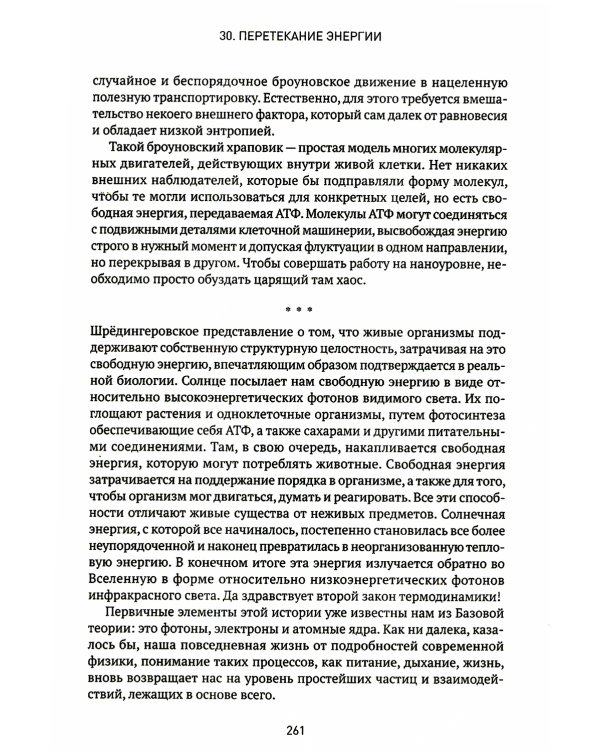 Вселенная. Происхождение жизни, смысл нашего существования и огромный космос