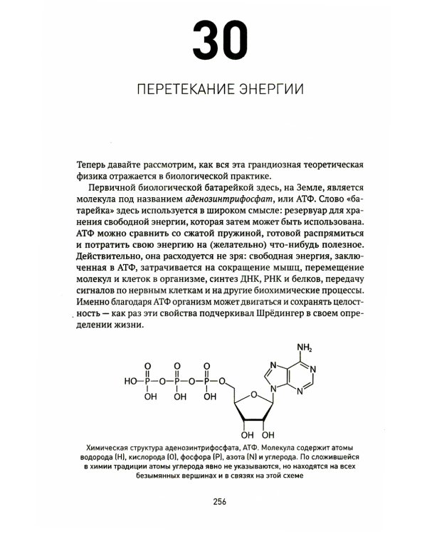 Вселенная. Происхождение жизни, смысл нашего существования и огромный космос