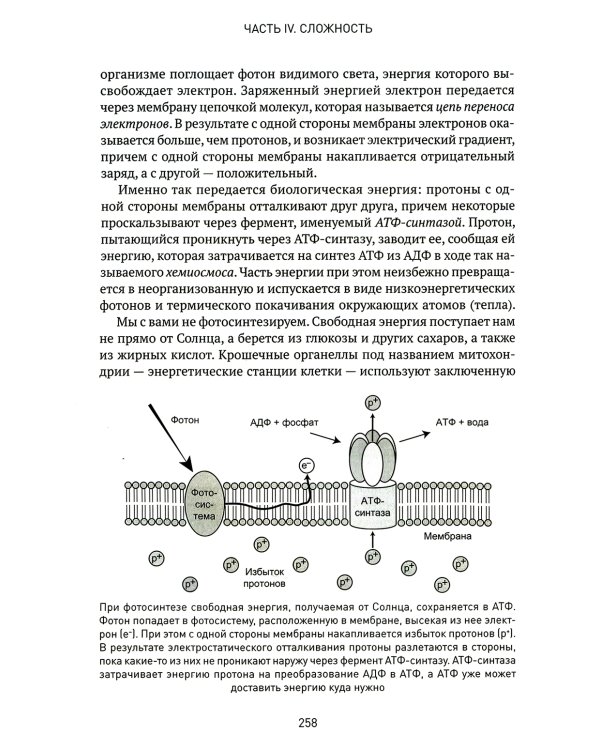 Вселенная. Происхождение жизни, смысл нашего существования и огромный космос