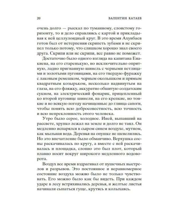Сын полка