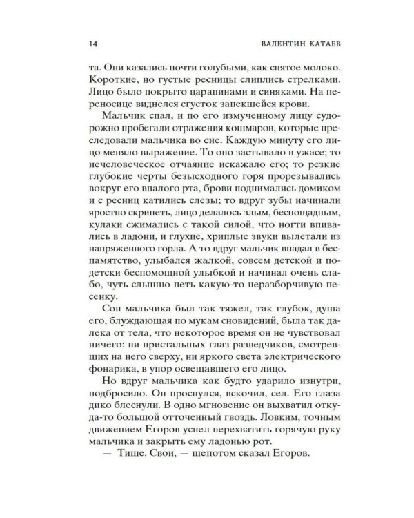 Сын полка