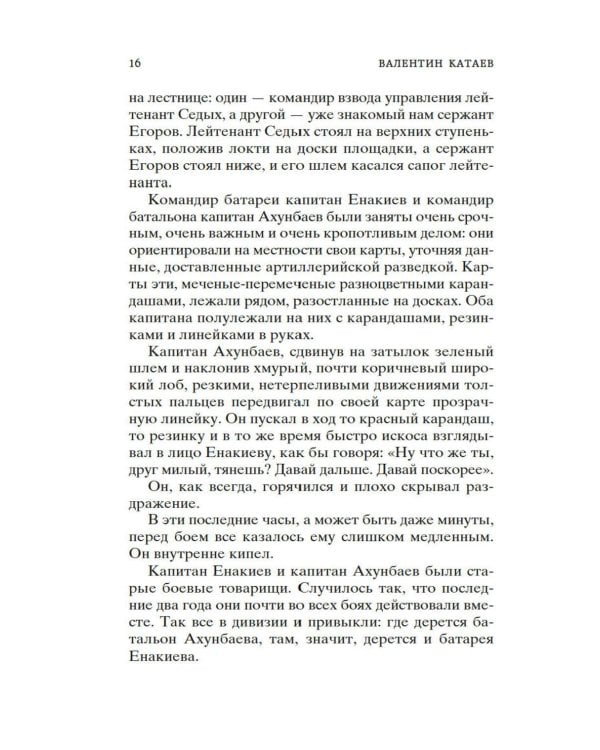 Сын полка