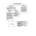 Теория государства и права в схемах и таблицах: Учебное пособие
