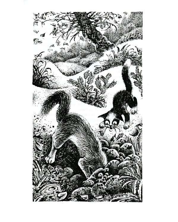 Коты-воители. Месть Звездного Луча. Кн. 1: Разлом