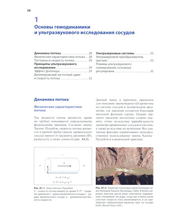 Нейросонология и нейровизуализация при инсульте. 3-е изд