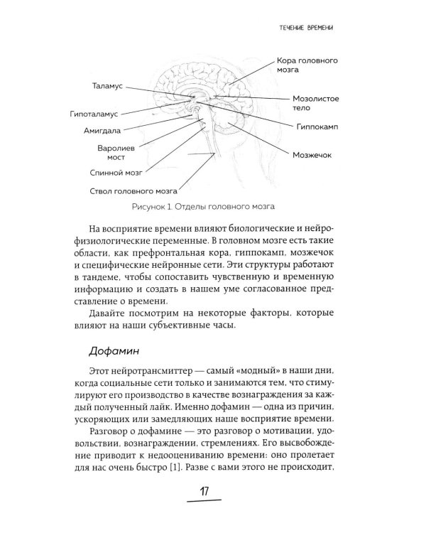 Дополнительное изображение книги «Ловушки, забирающие молодость. Как перестать укорачивать себе жизнь и поддерживать здоровье на клеточном уровне»