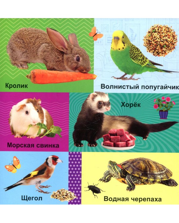 Дополнительное изображение книги «Твои любимые книжки. Животные. Кто что ест»