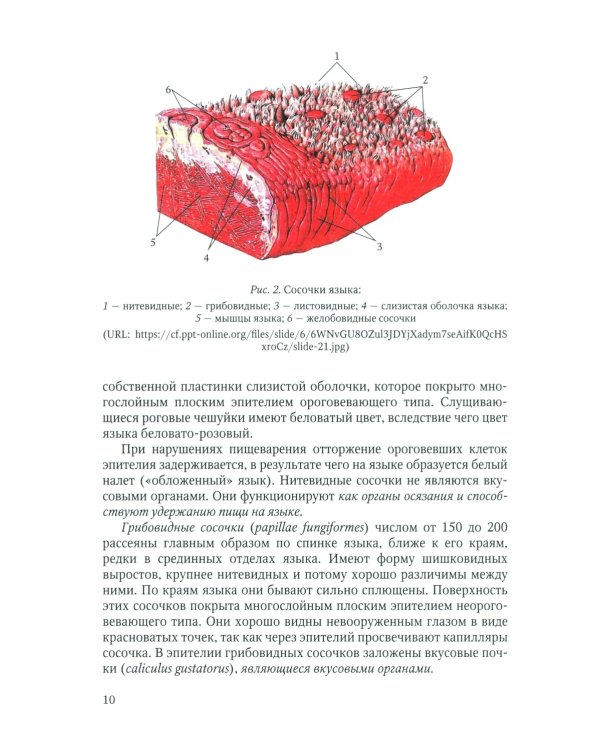 Диагностика, лечение и профилактика основных заболеваний и болевых синдромов языка: Учебное пособие