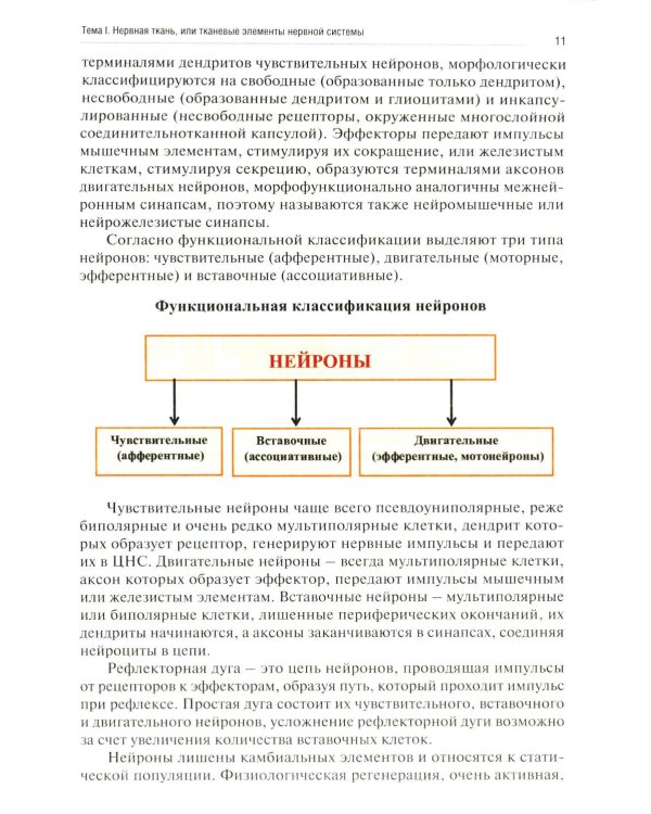 Нейрогистология: нервная ткань, нервная система, органы чувств: рабочая тетрадь