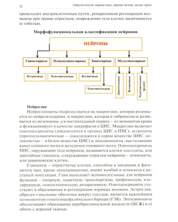 Нейрогистология: нервная ткань, нервная система, органы чувств: рабочая тетрадь
