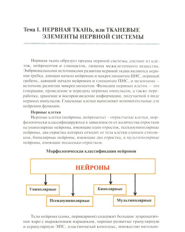 Нейрогистология: нервная ткань, нервная система, органы чувств: рабочая тетрадь