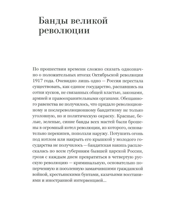 Воры в законе. Порожденные революцией. История советской организационной преступности певой половины ХХ века