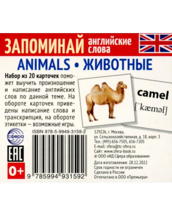 Запоминай английские слова. 5 наборов карточек для обучения