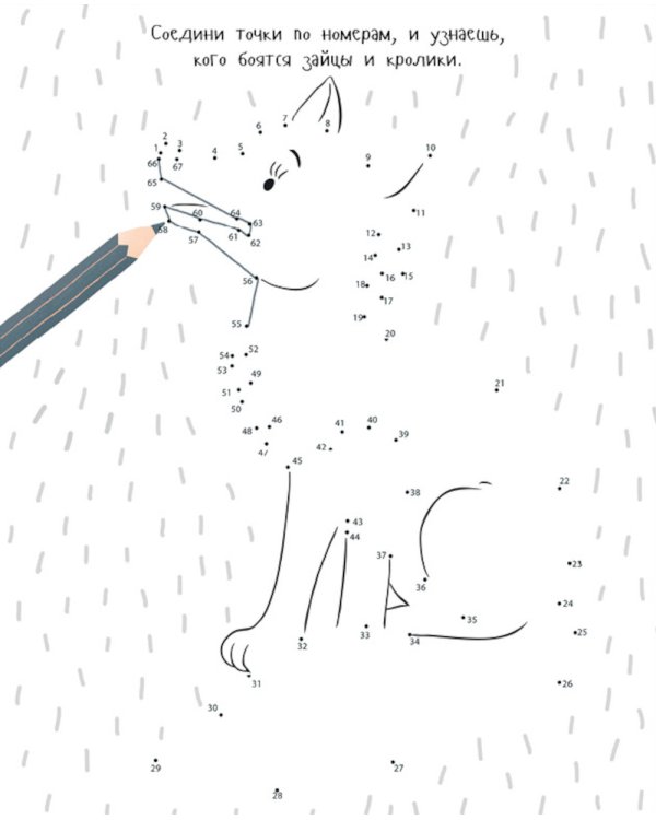 Животные. Рисуем, раскрашиваем, играем