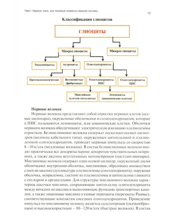 Нейрогистология: нервная ткань, нервная система, органы чувств: рабочая тетрадь