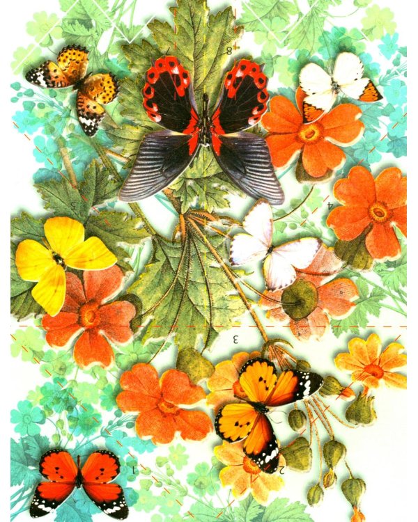 Самолеты из бумаги; Cкоростные самолеты из бумаги. 8 моделей (комплект из 2-х кн.)