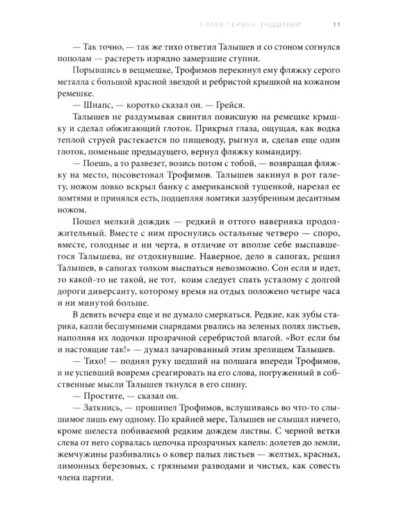 Враг. Исторический детектив