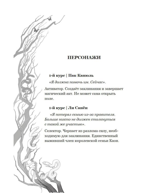 Дополнительное изображение книги «Маги Каона. Последний принц: роман»