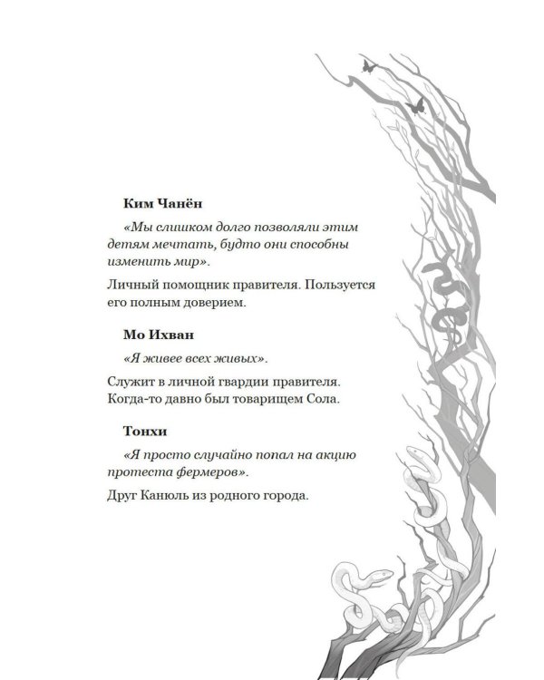 Дополнительное изображение книги «Маги Каона. Последний принц: роман»