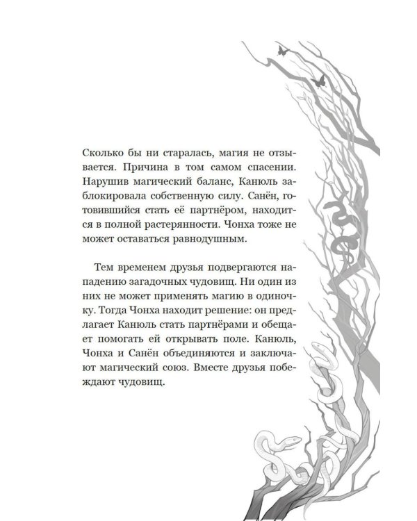Дополнительное изображение книги «Маги Каона. Последний принц: роман»