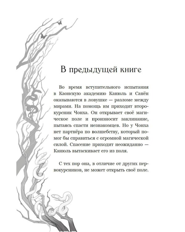 Дополнительное изображение книги «Маги Каона. Последний принц: роман»