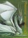Обложка книги «Легендарные драконы» — Тюрен Филипп-Анри;Тибо Марилин, ISBN 9785389329041
