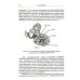 Введение в науку о языке: лингвистика XXI века: Т. 1: Теория языка. Язык и познание. 2-е изд., испр. и доп. (обл.)