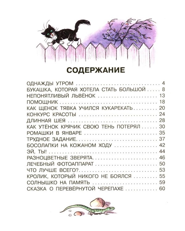 Дополнительное изображение книги «Сказки»