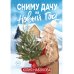 Сниму дачу на Новый год