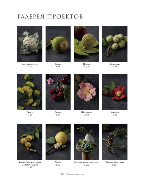 Botanica: 12 авторских дизайнов с цветами и плодами: Объемная вышивка шерстью от Джули Книдл