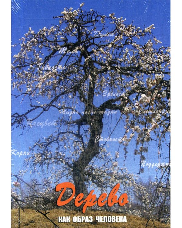 Дерево как образ человека: метафорические карты (набор из 112 карточек и инструкции)