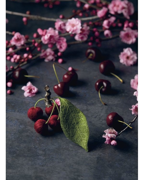 Botanica: 12 авторских дизайнов с цветами и плодами: Объемная вышивка шерстью от Джули Книдл