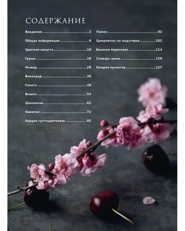 Botanica: 12 авторских дизайнов с цветами и плодами: Объемная вышивка шерстью от Джули Книдл