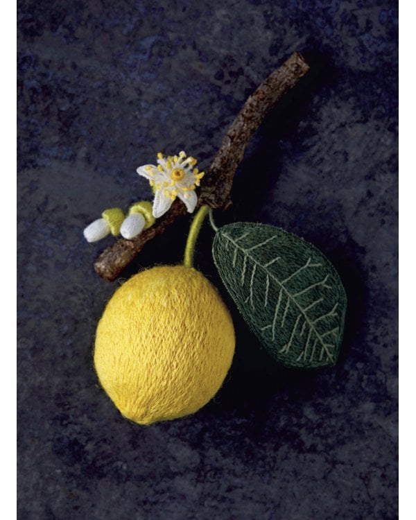 Botanica: 12 авторских дизайнов с цветами и плодами: Объемная вышивка шерстью от Джули Книдл