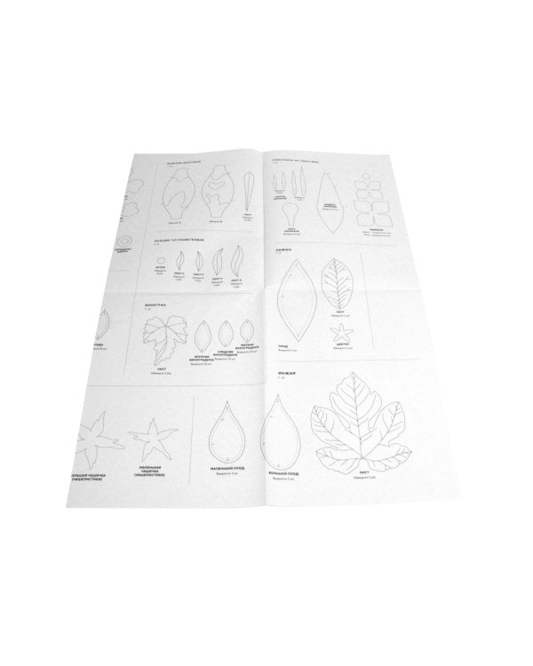 Botanica: 12 авторских дизайнов с цветами и плодами: Объемная вышивка шерстью от Джули Книдл