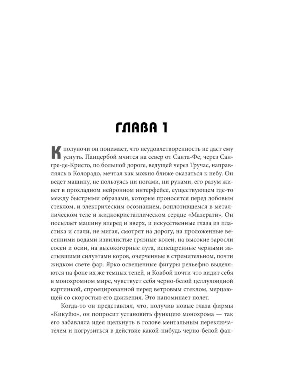 Дополнительное изображение книги «Прошивка. Глас урагана»