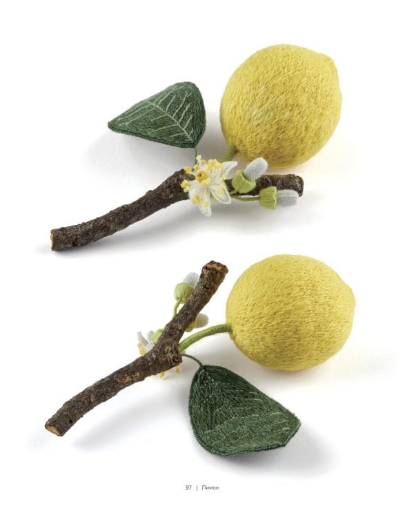 Botanica: 12 авторских дизайнов с цветами и плодами: Объемная вышивка шерстью от Джули Книдл