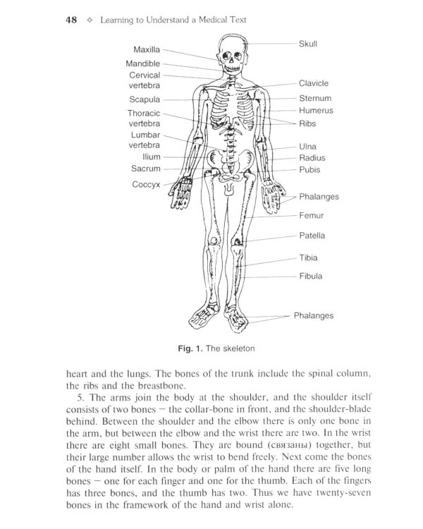 Английский язык: Учебник. 4-е изд., испр. и перераб
