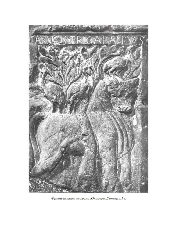 Дополнительное изображение книги «История Франции»