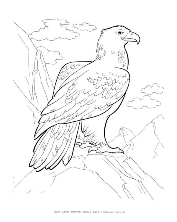 Мегараскраска. Животные